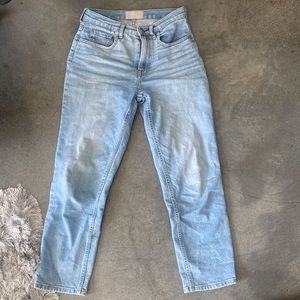 Everlane original cheeky jean